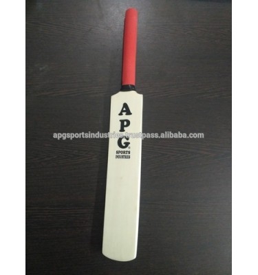 APG Mini Autograph Cricket Bat (Not Meant For Playing)